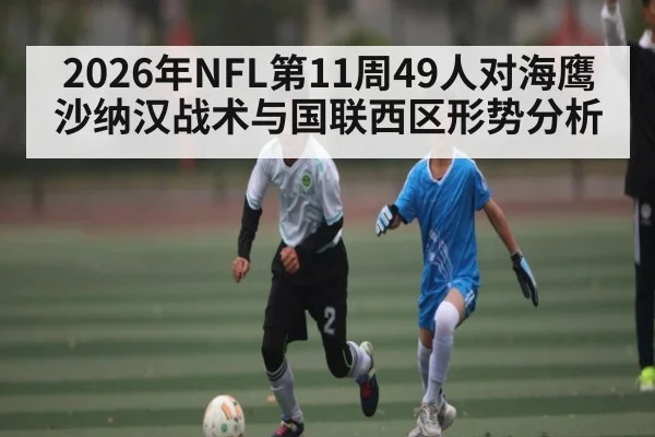 2026年NFL第11周49人对海鹰 沙纳汉战术与国联西区形势分析